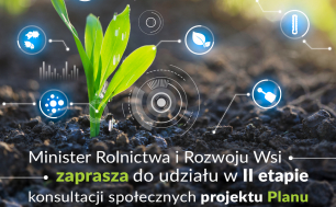 Zdjęci przedstawia młodą roślinę rosnącą samotnie na glenie.